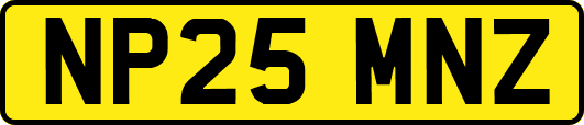 NP25MNZ
