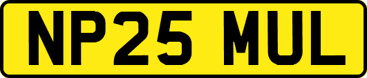 NP25MUL