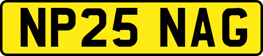 NP25NAG