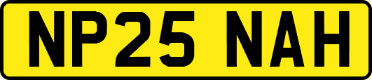 NP25NAH