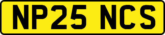 NP25NCS