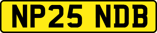 NP25NDB