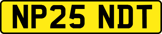 NP25NDT