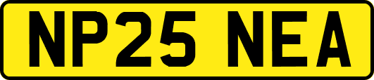 NP25NEA