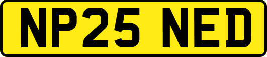 NP25NED