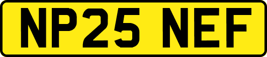 NP25NEF