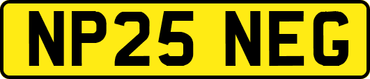 NP25NEG
