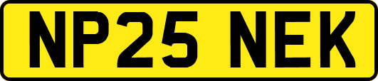 NP25NEK