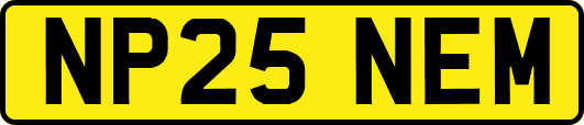 NP25NEM