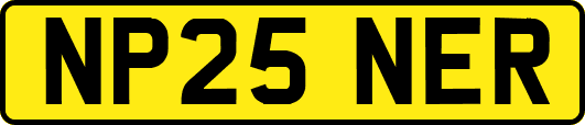 NP25NER