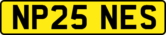 NP25NES