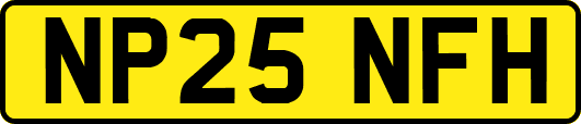 NP25NFH