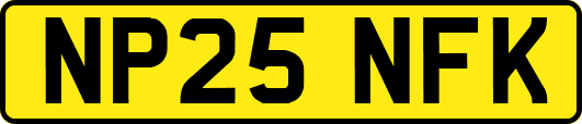 NP25NFK