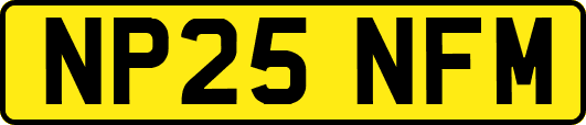 NP25NFM