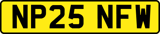 NP25NFW
