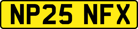 NP25NFX