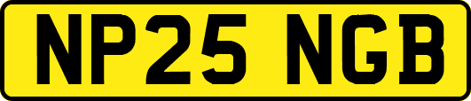 NP25NGB