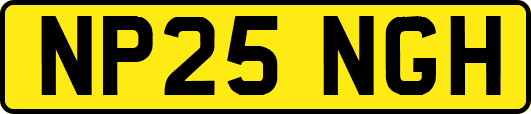 NP25NGH