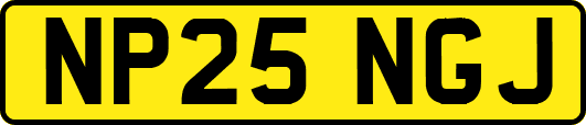 NP25NGJ