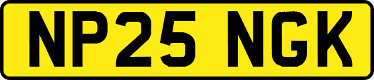 NP25NGK