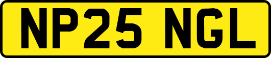 NP25NGL