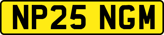 NP25NGM