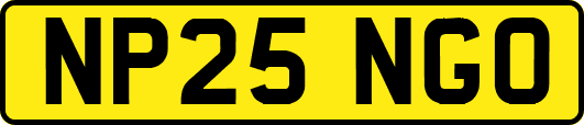 NP25NGO