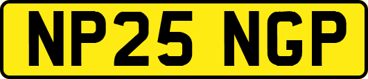 NP25NGP