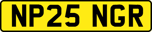 NP25NGR