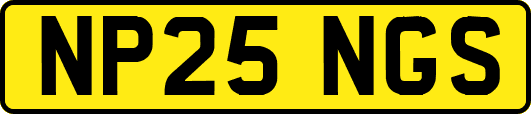 NP25NGS