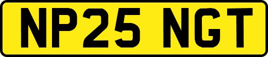 NP25NGT