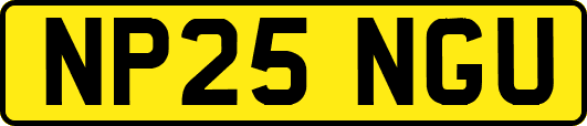 NP25NGU