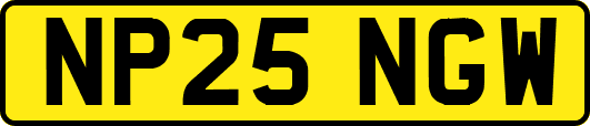 NP25NGW