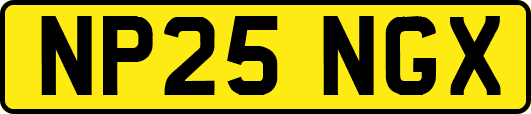 NP25NGX