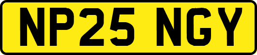 NP25NGY