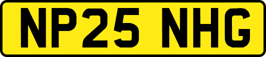 NP25NHG