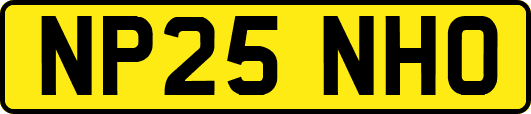 NP25NHO