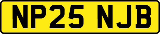 NP25NJB