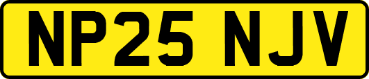 NP25NJV