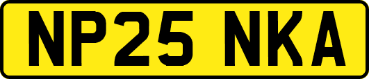 NP25NKA