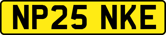 NP25NKE