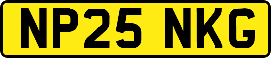 NP25NKG