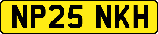 NP25NKH