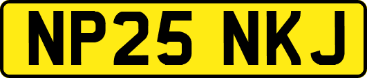 NP25NKJ