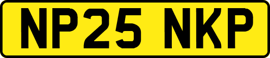 NP25NKP