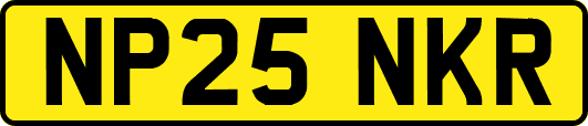 NP25NKR