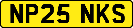 NP25NKS