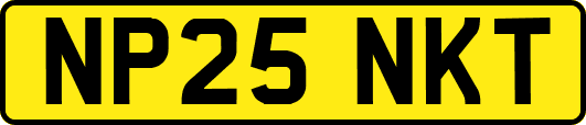 NP25NKT