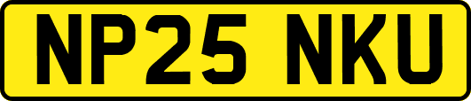 NP25NKU