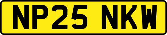 NP25NKW